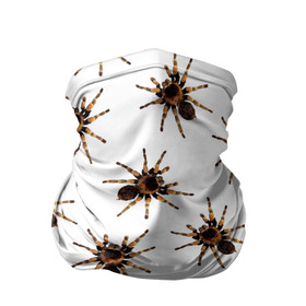 Бандана-труба 3D с принтом В пауках в Петрозаводске, 100% полиэстер, ткань с особыми свойствами — Activecool | плотность 150‒180 г/м2; хорошо тянется, но сохраняет форму | pattern | spider | джунгли | дикие | животные | жуки | звери | лапы | мерзкие | монстр | насекомые | паттерн | паук | пауки | паутина | паучок | птицеед | страшный | существа | тараканы | тарантул | тропики