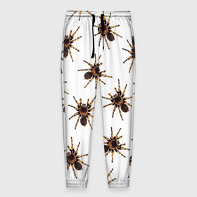 Мужские брюки 3D с принтом В пауках в Петрозаводске, 100% полиэстер | манжеты по низу, эластичный пояс регулируется шнурком, по бокам два кармана без застежек, внутренняя часть кармана из мелкой сетки | pattern | spider | джунгли | дикие | животные | жуки | звери | лапы | мерзкие | монстр | насекомые | паттерн | паук | пауки | паутина | паучок | птицеед | страшный | существа | тараканы | тарантул | тропики