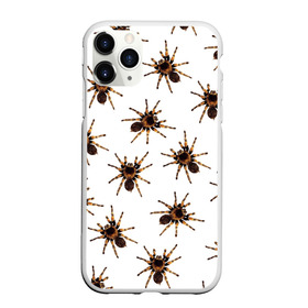 Чехол для iPhone 11 Pro матовый с принтом В пауках в Петрозаводске, Силикон |  | pattern | spider | джунгли | дикие | животные | жуки | звери | лапы | мерзкие | монстр | насекомые | паттерн | паук | пауки | паутина | паучок | птицеед | страшный | существа | тараканы | тарантул | тропики