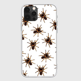 Чехол для iPhone 12 Pro Max с принтом В пауках в Петрозаводске, Силикон |  | Тематика изображения на принте: pattern | spider | джунгли | дикие | животные | жуки | звери | лапы | мерзкие | монстр | насекомые | паттерн | паук | пауки | паутина | паучок | птицеед | страшный | существа | тараканы | тарантул | тропики