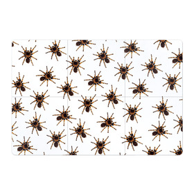 Магнитный плакат 3Х2 с принтом В пауках в Петрозаводске, Полимерный материал с магнитным слоем | 6 деталей размером 9*9 см | pattern | spider | джунгли | дикие | животные | жуки | звери | лапы | мерзкие | монстр | насекомые | паттерн | паук | пауки | паутина | паучок | птицеед | страшный | существа | тараканы | тарантул | тропики
