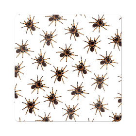 Магнит виниловый Квадрат с принтом В пауках в Петрозаводске, полимерный материал с магнитным слоем | размер 9*9 см, закругленные углы | pattern | spider | джунгли | дикие | животные | жуки | звери | лапы | мерзкие | монстр | насекомые | паттерн | паук | пауки | паутина | паучок | птицеед | страшный | существа | тараканы | тарантул | тропики
