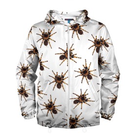 Мужская ветровка 3D с принтом В пауках в Петрозаводске, 100% полиэстер | подол и капюшон оформлены резинкой с фиксаторами, два кармана без застежек по бокам, один потайной карман на груди | pattern | spider | джунгли | дикие | животные | жуки | звери | лапы | мерзкие | монстр | насекомые | паттерн | паук | пауки | паутина | паучок | птицеед | страшный | существа | тараканы | тарантул | тропики