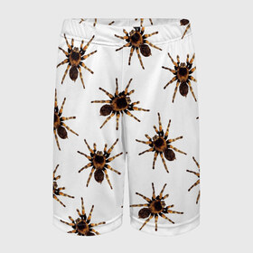 Детские спортивные шорты 3D с принтом В пауках в Петрозаводске,  100% полиэстер
 | пояс оформлен широкой мягкой резинкой, ткань тянется
 | pattern | spider | джунгли | дикие | животные | жуки | звери | лапы | мерзкие | монстр | насекомые | паттерн | паук | пауки | паутина | паучок | птицеед | страшный | существа | тараканы | тарантул | тропики