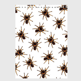 Скетчбук с принтом В пауках в Петрозаводске, 100% бумага
 | 48 листов, плотность листов — 100 г/м2, плотность картонной обложки — 250 г/м2. Листы скреплены сверху удобной пружинной спиралью | Тематика изображения на принте: pattern | spider | джунгли | дикие | животные | жуки | звери | лапы | мерзкие | монстр | насекомые | паттерн | паук | пауки | паутина | паучок | птицеед | страшный | существа | тараканы | тарантул | тропики