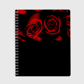 Тетрадь с принтом Готика в Петрозаводске, 100% бумага | 48 листов, плотность листов — 60 г/м2, плотность картонной обложки — 250 г/м2. Листы скреплены сбоку удобной пружинной спиралью. Уголки страниц и обложки скругленные. Цвет линий — светло-серый
 | Тематика изображения на принте: black | flowers | red | rose | rozario | vampire | алые | бутоны | вампир | винтаж | готический | красныерозы | кровь | лепестки | летний | лето | ночь | природа | растения | роза | розочка | розы | рок | темный | узор