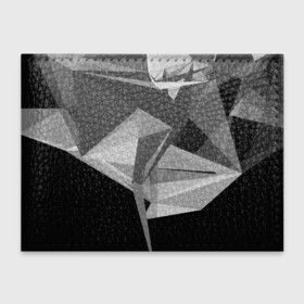 Обложка для студенческого билета с принтом Camo   Black  White в Петрозаводске, натуральная кожа | Размер: 11*8 см; Печать на всей внешней стороне | Тематика изображения на принте: abstract | abstraction | color | geometry | polygon | polygonal | абстракция | геометрия | полигоны | психоделика