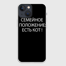 Чехол для iPhone 13 mini с принтом Есть кот в Петрозаводске,  |  | Тематика изображения на принте: да | есть кот | замуж | кот | котейка | котик | котэ | мем | мяу | настроение | не хочу | нет | пора жениться | прикол | свадьба | сватовство | семейное положение | хочу