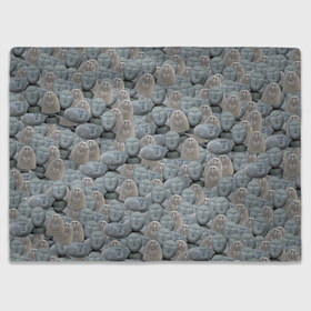 Плед 3D с принтом Каменные лица 3D МЕМ 2020 в Петрозаводске, 100% полиэстер | закругленные углы, все края обработаны. Ткань не мнется и не растягивается | my stone. | каменные лица | камни с человеческими лицами | мем