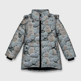 Зимняя куртка для девочек 3D с принтом Каменные лица 3D МЕМ 2020 в Петрозаводске, ткань верха — 100% полиэстер; подклад — 100% полиэстер, утеплитель — 100% полиэстер. | длина ниже бедра, удлиненная спинка, воротник стойка и отстегивающийся капюшон. Есть боковые карманы с листочкой на кнопках, утяжки по низу изделия и внутренний карман на молнии. 

Предусмотрены светоотражающий принт на спинке, радужный светоотражающий элемент на пуллере молнии и на резинке для утяжки. | my stone. | каменные лица | камни с человеческими лицами | мем