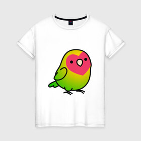 Женская футболка хлопок с принтом Папугай в Петрозаводске, 100% хлопок | прямой крой, круглый вырез горловины, длина до линии бедер, слегка спущенное плечо | арт | волнистые попугайчики | волнистый попугай | животные | картинка | папуги | попугаи | попугайчики | птица | птицы | рисунок