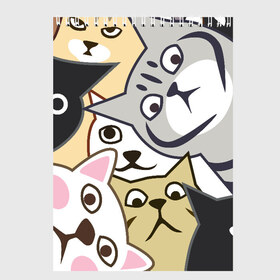 Скетчбук с принтом Котики Шпионы в Петрозаводске, 100% бумага
 | 48 листов, плотность листов — 100 г/м2, плотность картонной обложки — 250 г/м2. Листы скреплены сверху удобной пружинной спиралью | Тематика изображения на принте: anime | art | casual | cat | cats | cute | funny | kawaii | kitty | meme | memes | pussy | selfie | аниме | арт | животные | каваи | кавай | кот | коте | котик | котики | коты | кошка | кэжуал | мем | мемы | милота | приколы | прикольные | се