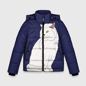 Зимняя куртка для мальчиков 3D с принтом Белый британский котик в Петрозаводске, ткань верха — 100% полиэстер; подклад — 100% полиэстер, утеплитель — 100% полиэстер | длина ниже бедра, удлиненная спинка, воротник стойка и отстегивающийся капюшон. Есть боковые карманы с листочкой на кнопках, утяжки по низу изделия и внутренний карман на молнии. 

Предусмотрены светоотражающий принт на спинке, радужный светоотражающий элемент на пуллере молнии и на резинке для утяжки | Тематика изображения на принте: cat | cute | kitten | meow | британец | британский | взгляд | друзья | животные | зверек | зверюшки | каваи | киска | котенок | котик | коты | котята | кошак | кошечки | кошки | лапы | милые | мордочка | мяу | няшные