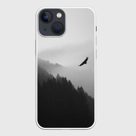 Чехол для iPhone 13 mini с принтом ОРЁЛ НАД ЛЕСОМ в Петрозаводске,  |  | bird | dark | fog | forest | heaven | jh k | ktc | sky | texture | деревья | животные | лес | небо | орел | природа | птица | птицы | текстуры | тёмный лес | туман