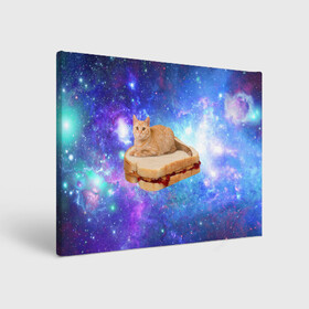Холст прямоугольный с принтом Кот в космосе в Петрозаводске, 100% ПВХ |  | cat | cats | space | бутерброд | грозовой кошак | джем | киса | киска | космос | кошак | кошка
