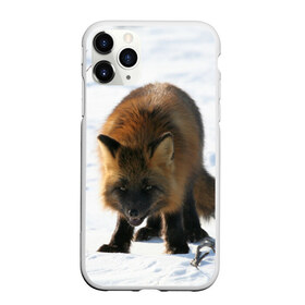 Чехол для iPhone 11 Pro Max матовый с принтом Лиса в Петрозаводске, Силикон |  | животное | животные | звери | зверь | зима | зимний | зимы | лис | лиса | лисы | природа | снег | снега | фауна | хищник | хищники