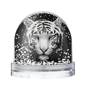 Снежный шар с принтом тигр в Петрозаводске, Пластик | Изображение внутри шара печатается на глянцевой фотобумаге с двух сторон | белый тигр | тигр