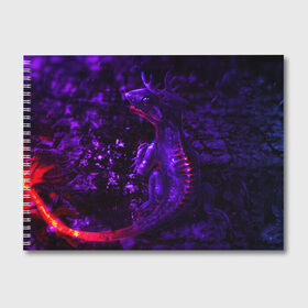 Альбом для рисования с принтом Энергия Лавы в Петрозаводске, 100% бумага
 | матовая бумага, плотность 200 мг. | Тематика изображения на принте: drag | dragon | арт | динамическое | динозавр | дракон | красивое | фантастика