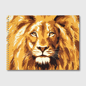 Альбом для рисования с принтом Взгляд льва в Петрозаводске, 100% бумага
 | матовая бумага, плотность 200 мг. | арт | грива | деко | жедтая | животные | закат | зверей | золото | кошка | лев | лето | львенок | неоновая | очки | пляж | прайд | разноцветная | солнце | тигр | узоры | царь | яркие