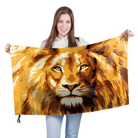 Флаг 3D с принтом Взгляд льва в Петрозаводске, 100% полиэстер | плотность ткани — 95 г/м2, размер — 67 х 109 см. Принт наносится с одной стороны | арт | грива | деко | жедтая | животные | закат | зверей | золото | кошка | лев | лето | львенок | неоновая | очки | пляж | прайд | разноцветная | солнце | тигр | узоры | царь | яркие