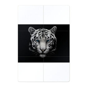 Магнитный плакат 2Х3 с принтом Белый Тигр в Петрозаводске, Полимерный материал с магнитным слоем | 6 деталей размером 9*9 см | tiger | животное | тигр | тигрица | чернобелый