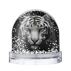 Снежный шар с принтом Белый Тигр в Петрозаводске, Пластик | Изображение внутри шара печатается на глянцевой фотобумаге с двух сторон | tiger | животное | тигр | тигрица | чернобелый