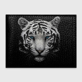Обложка для студенческого билета с принтом Белый Тигр в Петрозаводске, натуральная кожа | Размер: 11*8 см; Печать на всей внешней стороне | tiger | животное | тигр | тигрица | чернобелый