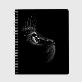 Тетрадь с принтом Черный кот в Петрозаводске, 100% бумага | 48 листов, плотность листов — 60 г/м2, плотность картонной обложки — 250 г/м2. Листы скреплены сбоку удобной пружинной спиралью. Уголки страниц и обложки скругленные. Цвет линий — светло-серый
 | Тематика изображения на принте: black | cat | eyes | kitten | kitty | pussy | pussycat | взгляд | глаз | глаза | кот | кота | котенок | коты | котят | котята | котячьи | кошачьи | кошка | кошки | мордочка | нос | носик | с котом | усатый | усики | усища | усищи | че