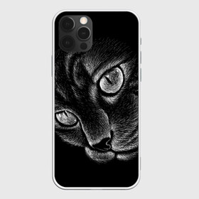 Чехол для iPhone 12 Pro с принтом Волшебный кот в Петрозаводске, силикон | область печати: задняя сторона чехла, без боковых панелей | black | cat | eyes | kitten | kitty | pussy | pussycat | взгляд | глаз | глаза | кот | кота | котенок | коты | котят | котята | котячьи | кошачьи | кошка | кошки | мордочка | нос | носик | с котом | усатый | усики | усища | усищи | че