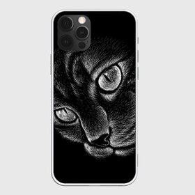 Чехол для iPhone 12 Pro Max с принтом Волшебный кот в Петрозаводске, Силикон |  | black | cat | eyes | kitten | kitty | pussy | pussycat | взгляд | глаз | глаза | кот | кота | котенок | коты | котят | котята | котячьи | кошачьи | кошка | кошки | мордочка | нос | носик | с котом | усатый | усики | усища | усищи | че