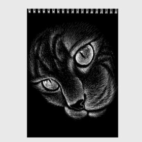 Скетчбук с принтом Волшебный кот в Петрозаводске, 100% бумага
 | 48 листов, плотность листов — 100 г/м2, плотность картонной обложки — 250 г/м2. Листы скреплены сверху удобной пружинной спиралью | Тематика изображения на принте: black | cat | eyes | kitten | kitty | pussy | pussycat | взгляд | глаз | глаза | кот | кота | котенок | коты | котят | котята | котячьи | кошачьи | кошка | кошки | мордочка | нос | носик | с котом | усатый | усики | усища | усищи | че
