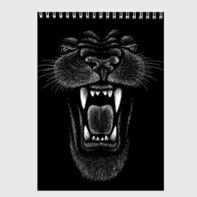 Скетчбук с принтом Черная пантера в Петрозаводске, 100% бумага
 | 48 листов, плотность листов — 100 г/м2, плотность картонной обложки — 250 г/м2. Листы скреплены сверху удобной пружинной спиралью | big | black | cat | danger | jungle | king | leopard | panter | panther | picture | большая | большой | джунглей | джунгли | зубы | король | кот | кошка | леопард | мелками | опасная | опасный | охотник | пантера | пасть | рисунок | хищник | 