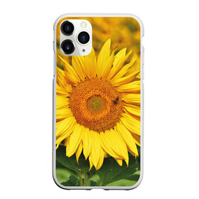 Чехол для iPhone 11 Pro Max матовый с принтом Подсолнух в Петрозаводске, Силикон |  | подсолнух | подсолнухи | природа | растение | растения | флора | фотография | цвет | цветами | цветов | цветок | цветочек | цветочки | цветочные | цветочный | цветы