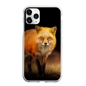 Чехол для iPhone 11 Pro Max матовый с принтом Лиса в Петрозаводске, Силикон |  | взгляд | животное | животные | звери | зверь | злая | зло | злой | лис | лиса | лисы | ночь | природа | ужас | фауна | хищник | хищники