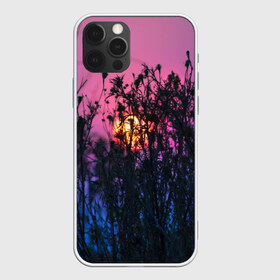 Чехол для iPhone 12 Pro Max с принтом Трава растения закатный свет в Петрозаводске, Силикон |  | вечер | закат | мило | небо | поле | рассвет | растения | свет | сумерки | сухоцвет
