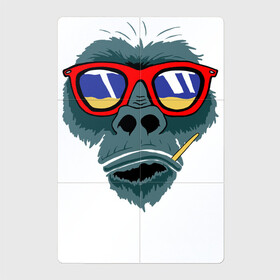 Магнитный плакат 2Х3 с принтом Голова обезьяны в Петрозаводске, Полимерный материал с магнитным слоем | 6 деталей размером 9*9 см | взгляд | голова | джунгли | дикие | животные | зверь | кингконг | король | крутые | мачо | море | мужчинам | обезьяна | обезьянка | орангутанг | отдых | очки | пацанские | пляж | прикольные | примат