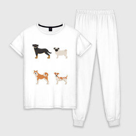 Женская пижама хлопок с принтом акита джек белый в Петрозаводске, 100% хлопок | брюки и футболка прямого кроя, без карманов, на брюках мягкая резинка на поясе и по низу штанин | акита | джек рассел | мопс | песокафе | ротвейлер | собаки