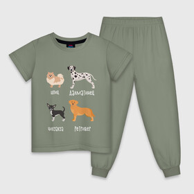 Детская пижама хлопок с принтом шпиц ретривер белый в Петрозаводске, 100% хлопок |  брюки и футболка прямого кроя, без карманов, на брюках мягкая резинка на поясе и по низу штанин
 | Тематика изображения на принте: далматинец | песокафе | ретривер | собаки | чихуахуа | шпиц