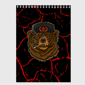 Скетчбук с принтом Медведь СССР в Петрозаводске, 100% бумага
 | 48 листов, плотность листов — 100 г/м2, плотность картонной обложки — 250 г/м2. Листы скреплены сверху удобной пружинной спиралью | bear | bears | cosmo | gagarin | stalin | ussr | гагарин | герой | коммунизм | комунизм | космос | красная | ленин | медведи | медведь | медвежонок | молот | отечественная | первый космонавт | серп | серп и молот | союз