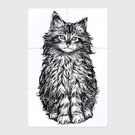 Магнитный плакат 2Х3 с принтом Пушистый котенок в Петрозаводске, Полимерный материал с магнитным слоем | 6 деталей размером 9*9 см | белый котенок | кот | котенок | коты | котята | кошечка | кошка | кошки | милые котята | милый котенок | няшки | пушистый котенок