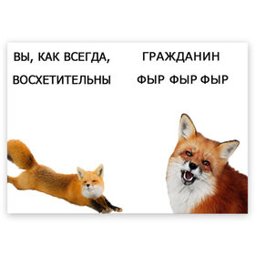 Поздравительная открытка с принтом гражданин фыр фыр в Петрозаводске, 100% бумага | плотность бумаги 280 г/м2, матовая, на обратной стороне линовка и место для марки
 | 