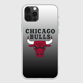 Чехол для iPhone 12 Pro Max с принтом JORDAN CHICAGO BULLS в Петрозаводске, Силикон |  | basketball | jordan | michael | michael jordan | баскетбол | джордан | майкл | стиль