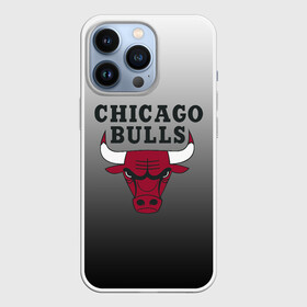 Чехол для iPhone 13 Pro с принтом JORDAN   CHICAGO BULLS в Петрозаводске,  |  | basketball | jordan | michael | michael jordan | баскетбол | джордан | майкл | стиль