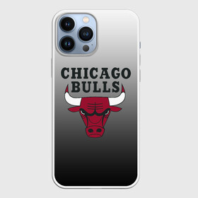 Чехол для iPhone 13 Pro Max с принтом JORDAN   CHICAGO BULLS в Петрозаводске,  |  | Тематика изображения на принте: basketball | jordan | michael | michael jordan | баскетбол | джордан | майкл | стиль
