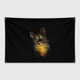 Флаг-баннер с принтом Дымчато-световой кот в Петрозаводске, 100% полиэстер | размер 67 х 109 см, плотность ткани — 95 г/м2; по краям флага есть четыре люверса для крепления | арт | дым | желтый | кот | кошка | кривые | рисунок | свет | серый | тёмный | чёрный | яркие линии