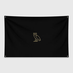 Флаг-баннер с принтом Сова в Петрозаводске, 100% полиэстер | размер 67 х 109 см, плотность ткани — 95 г/м2; по краям флага есть четыре люверса для крепления | арт | вектор | коричневый | рисунок | сова | чёрный