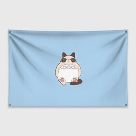 Флаг-баннер с принтом Тоторный кот в Петрозаводске, 100% полиэстер | размер 67 х 109 см, плотность ткани — 95 г/м2; по краям флага есть четыре люверса для крепления | grumpy cat | белый | кот тоторо | кот. недовольный кот | крем | мило | милота | мимишка | тоторо