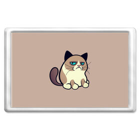 Магнит 45*70 с принтом Великий Grumpy Cat в Петрозаводске, Пластик | Размер: 78*52 мм; Размер печати: 70*45 | grumpy cat | арт | кот | кот grumpy cat | котёнок | кошка | недовольный кот | рисунок