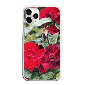 Чехол для iPhone 11 Pro Max матовый с принтом Red Roses в Петрозаводске, Силикон |  | bush | floral | flower | garden | green | nature | red roses | бутоны | красная роза | куст | листья | природа | роза | сад | цветение | цветок | цветы