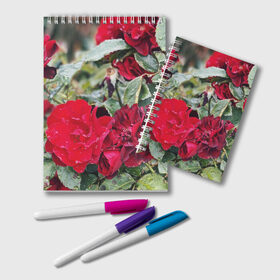 Блокнот с принтом Red Roses в Петрозаводске, 100% бумага | 48 листов, плотность листов — 60 г/м2, плотность картонной обложки — 250 г/м2. Листы скреплены удобной пружинной спиралью. Цвет линий — светло-серый
 | Тематика изображения на принте: bush | floral | flower | garden | green | nature | red roses | бутоны | красная роза | куст | листья | природа | роза | сад | цветение | цветок | цветы
